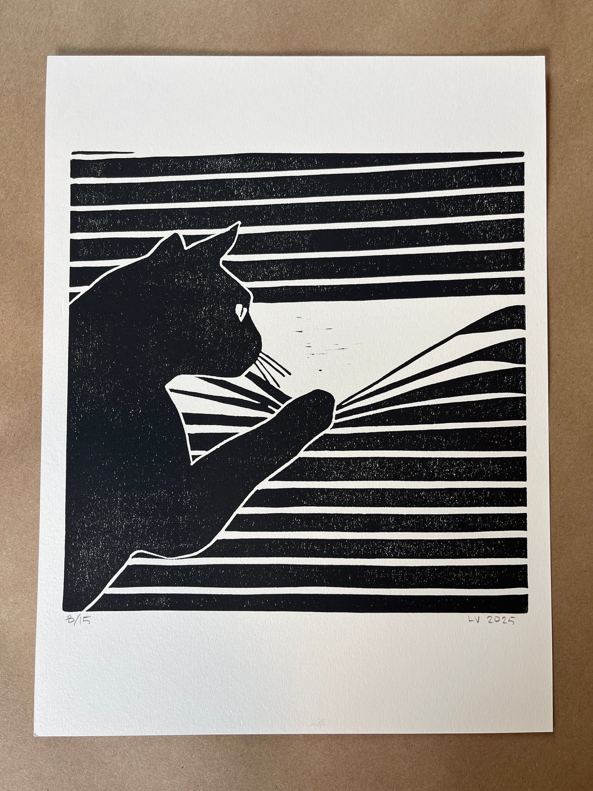 Cats!