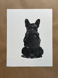 Frenchie