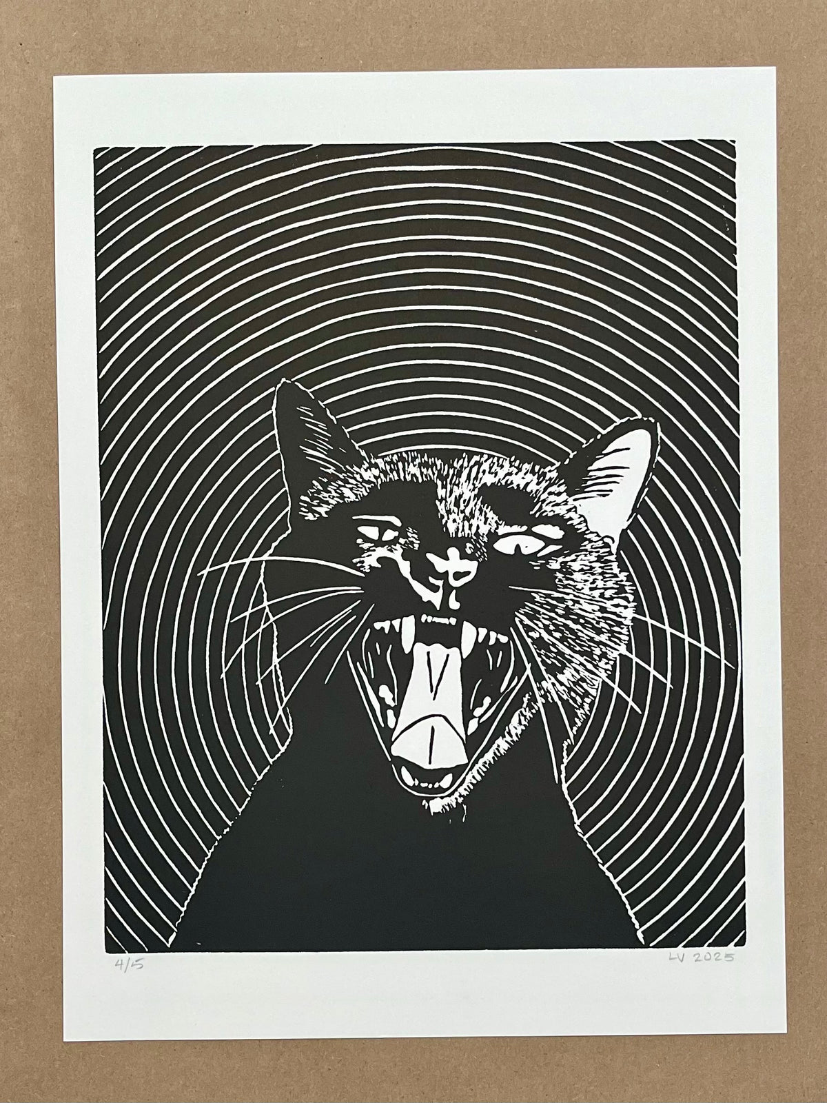 Cat’s Meow