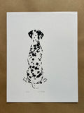 1 Dalmatian