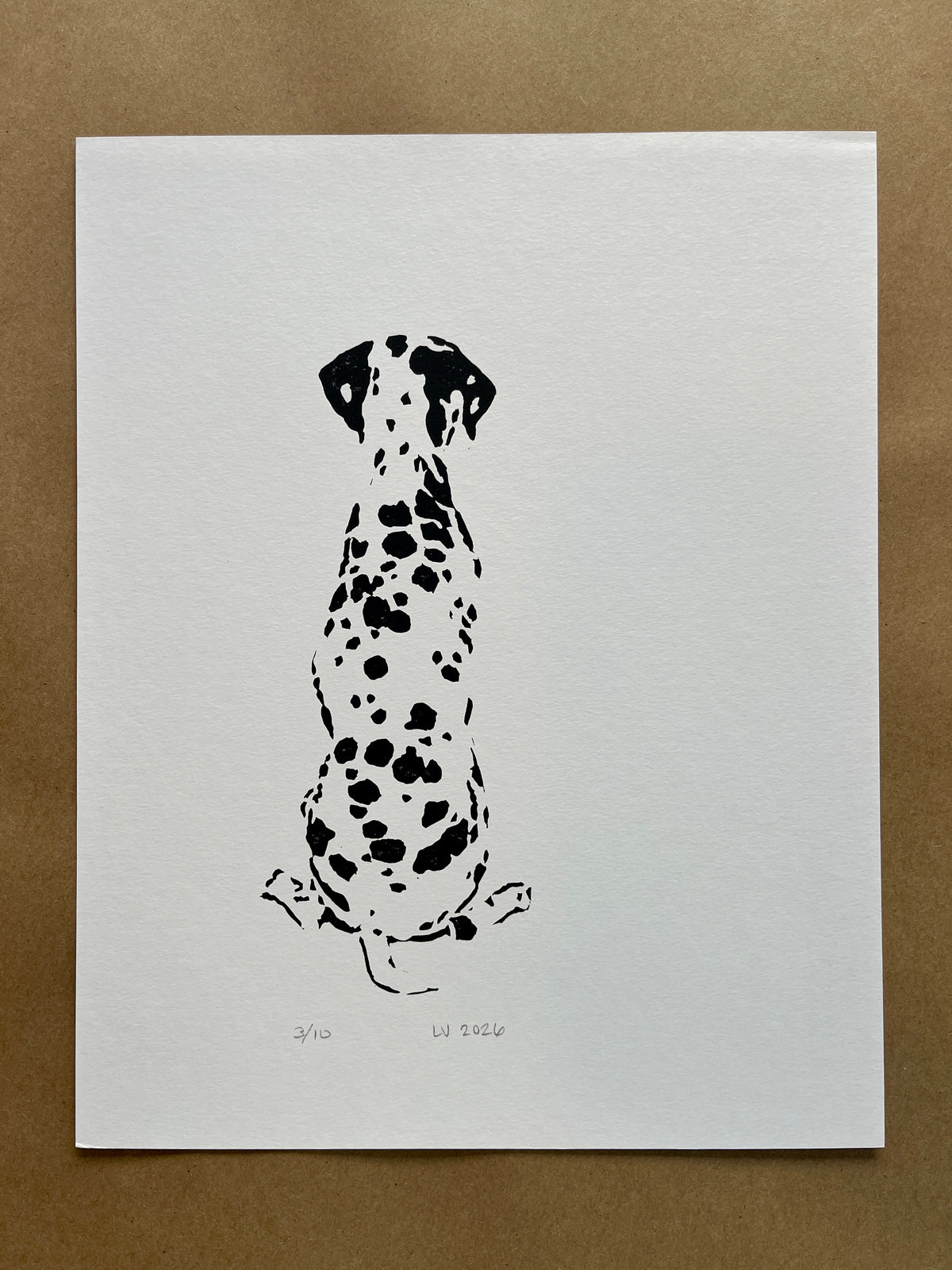 1 Dalmatian